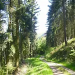 Апартаменты Traum-fewo Mosel-panoramablick *