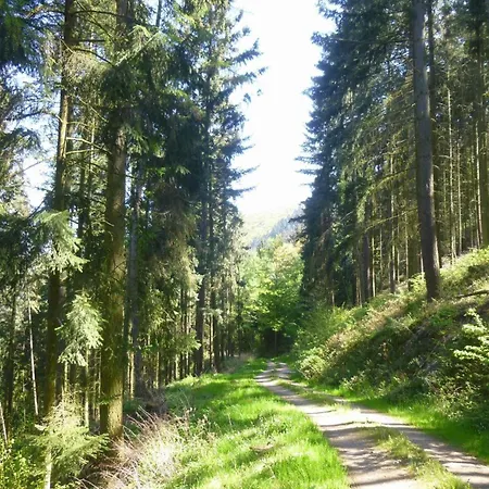 Traum-fewo Mosel-panoramablick Traben-Trarbach