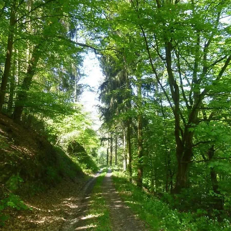 Apartamento Traum-fewo Mosel-panoramablick