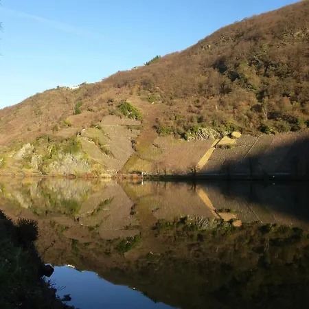 Traum-fewo Mosel-panoramablick *
