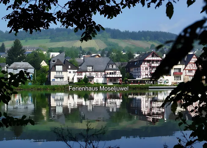 Traum-fewo Mosel-panoramablick