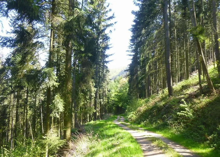 Appartement Traum-fewo Mosel-panoramablick *