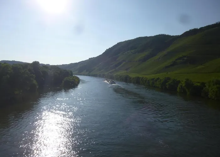 Appartement Traum-fewo Mosel-panoramablick