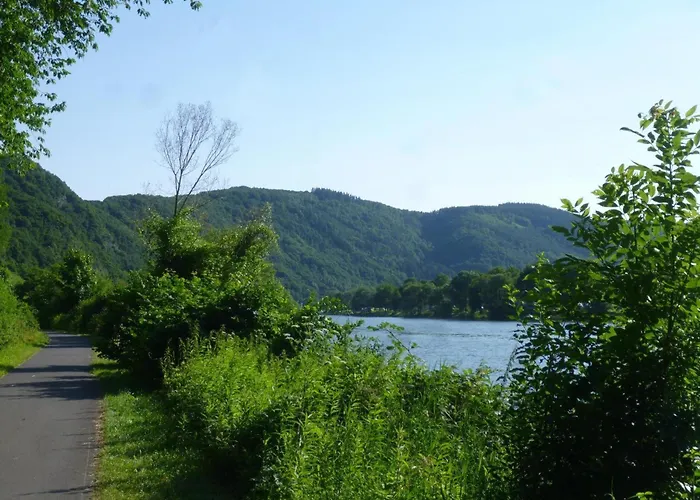 Traum-fewo Mosel-panoramablick * Traben-Trarbach