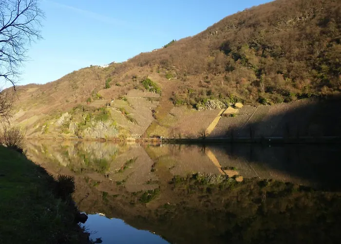 Traum-fewo Mosel-panoramablick Appartement Traben-Trarbach