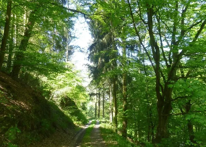 Traum-fewo Mosel-panoramablick Appartement *